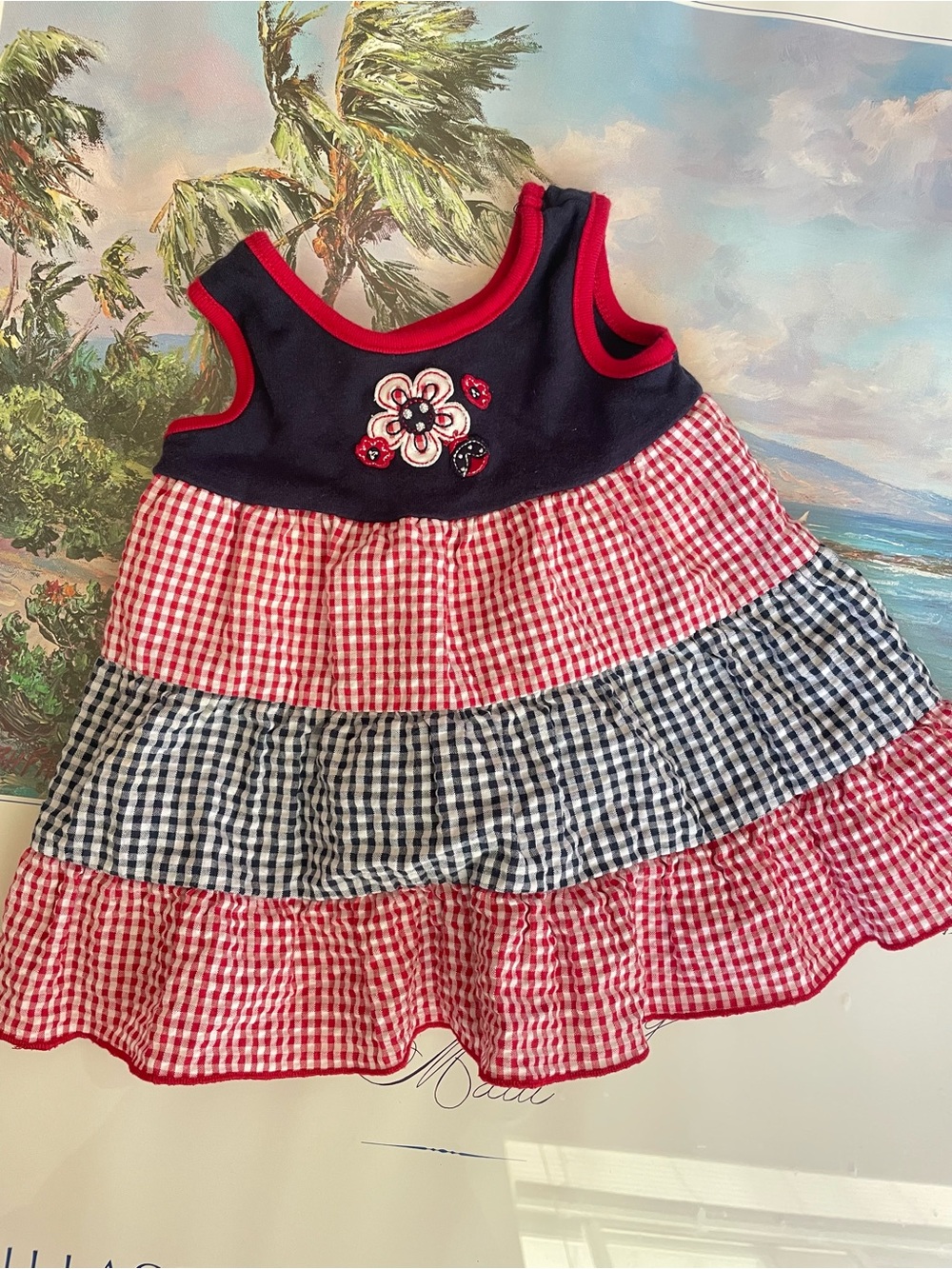 Sophie Rose Gingham Flower Tiered Dress Vintage Y2K Americana 3-6 Months